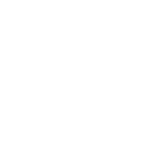 logo-icon